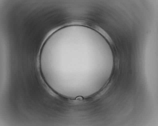 X0000111951436200908171309