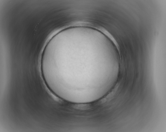 X0000111951437200908171309