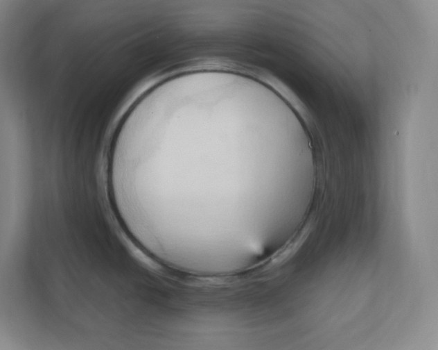 X0000111951438200908171309