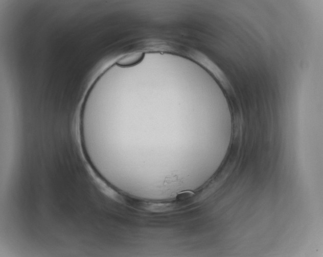 X0000111951439200908171309