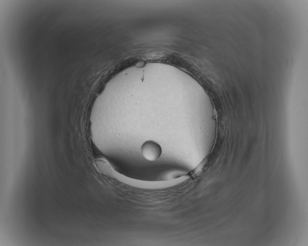 X0000111951441200908171308