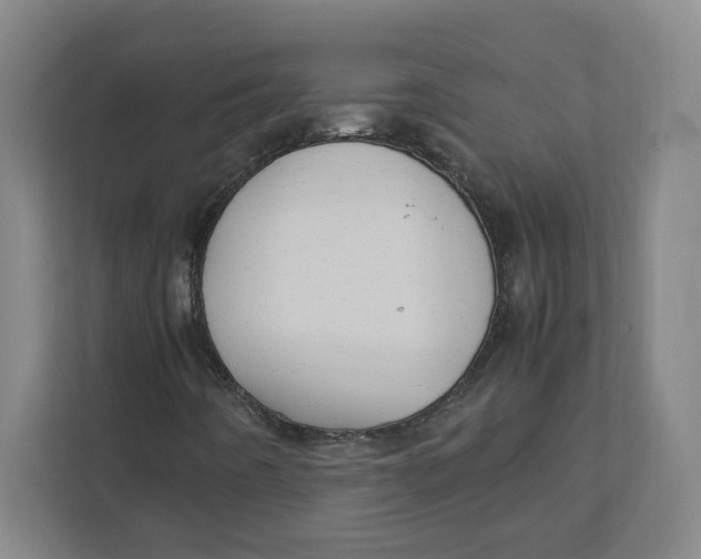 X0000111951442200908171308