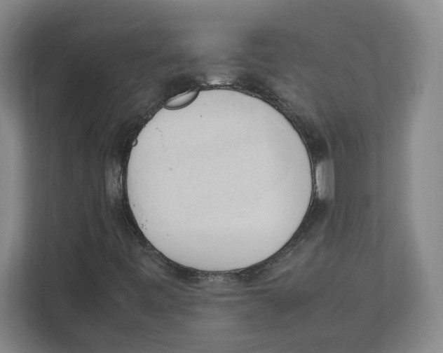 X0000111951443200908171308