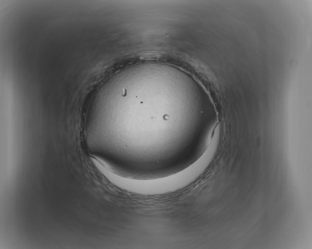 X0000111951445200908171308