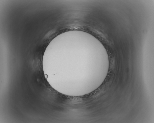 X0000111951446200908171308