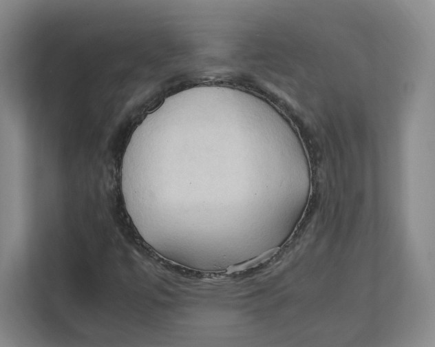 X0000111951447200908171308