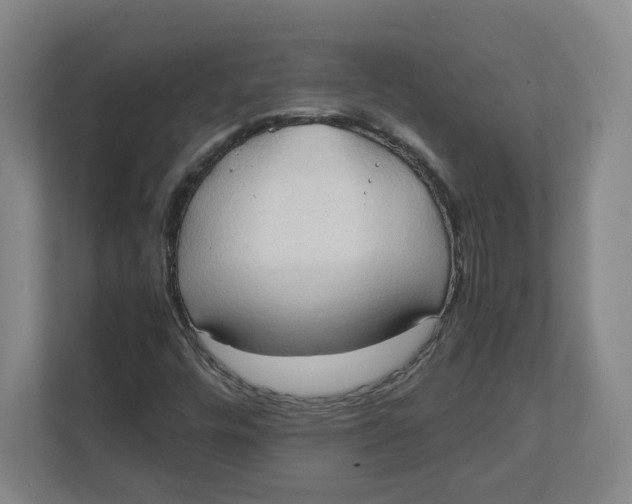 X0000111951448200908171308