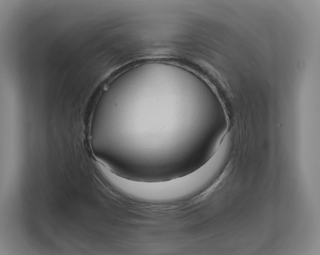 X0000111951449200908171308