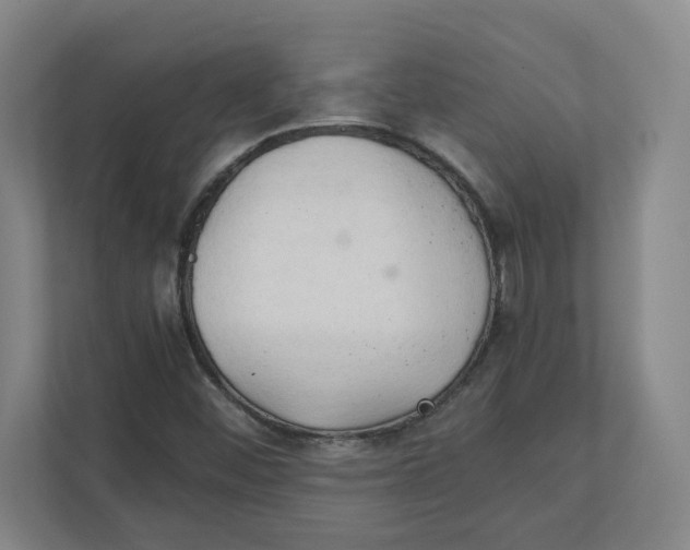 X0000111951452200908171308