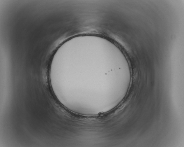 X0000111951455200908171308