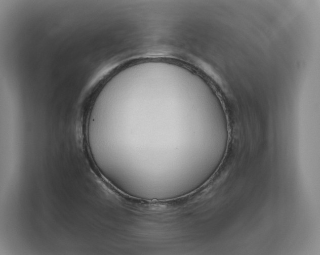 X0000111951456200908171308