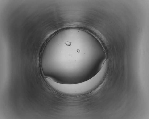 X0000111951457200908171308