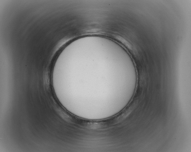 X0000111951458200908171308