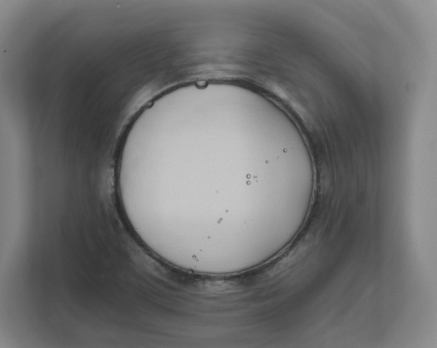 X0000111951459200908171308