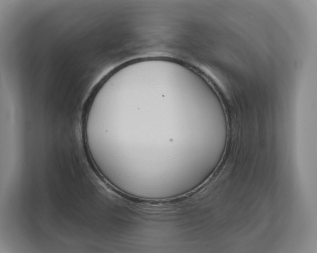 X0000111951460200908171308