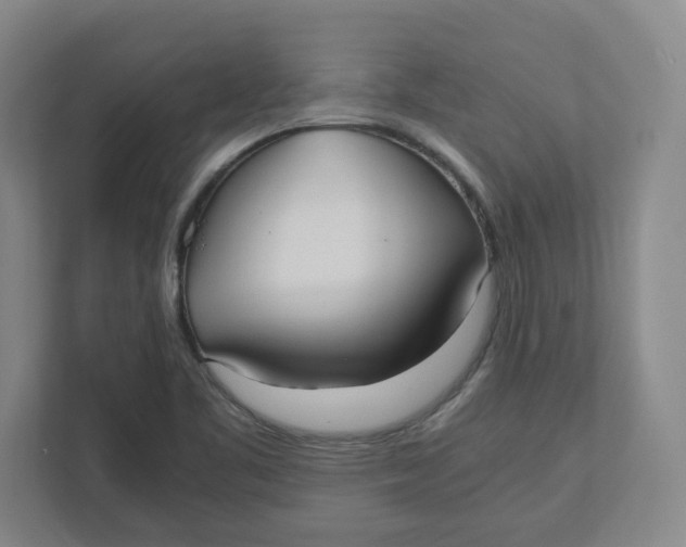 X0000111951461200908171308