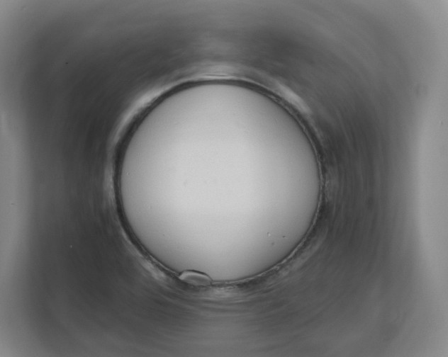 X0000111951464200908171308