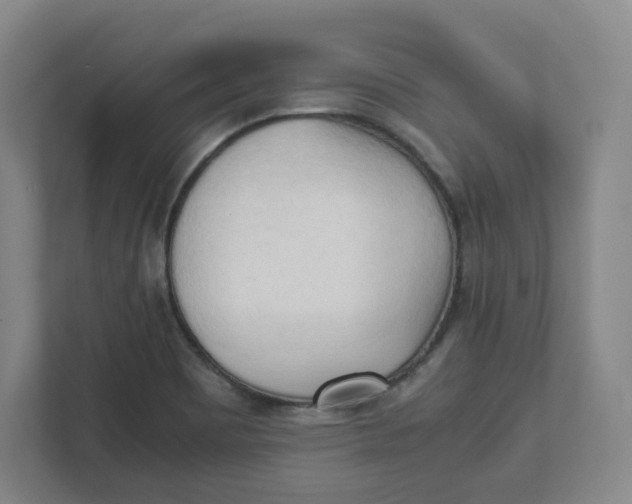 X0000111951465200908171308