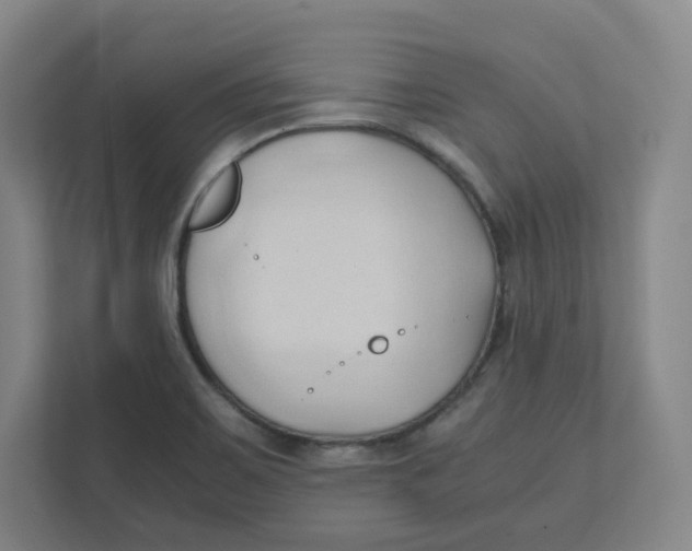 X0000111951467200908171308