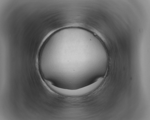 X0000111951468200908171308