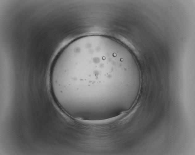 X0000111951469200908171308