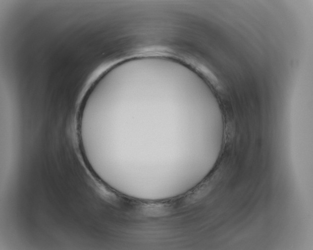 X0000111951470200908171308