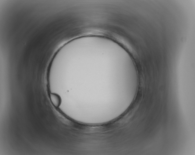 X0000111951471200908171308