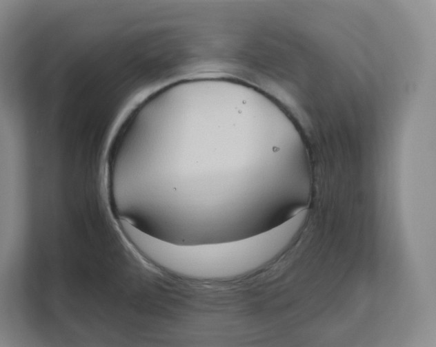 X0000111951472200908171308