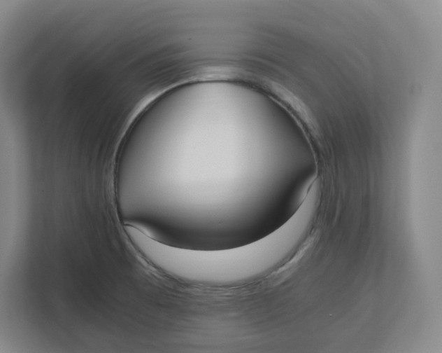 X0000111951473200908171308