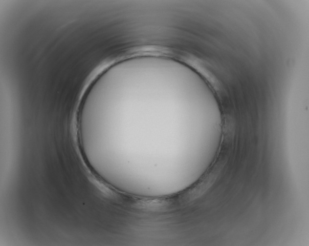 X0000111951474200908171308