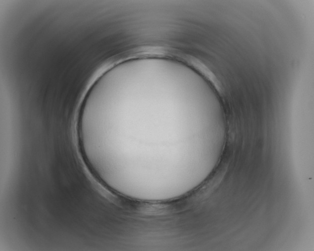 X0000111951475200908171308