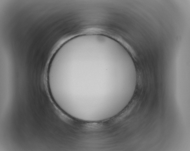 X0000111951478200908171308