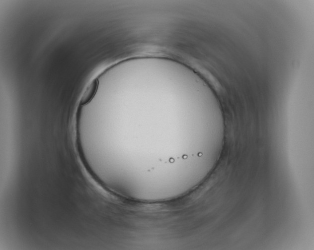 X0000111951479200908171308