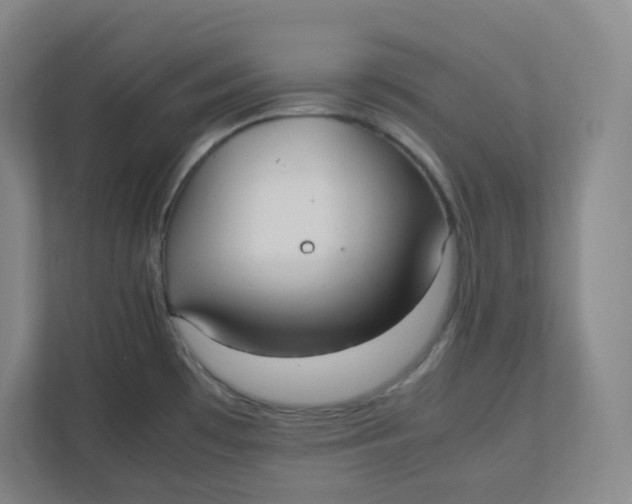 X0000111951481200908171307