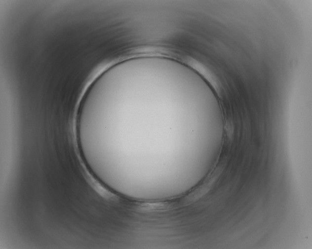 X0000111951482200908171307