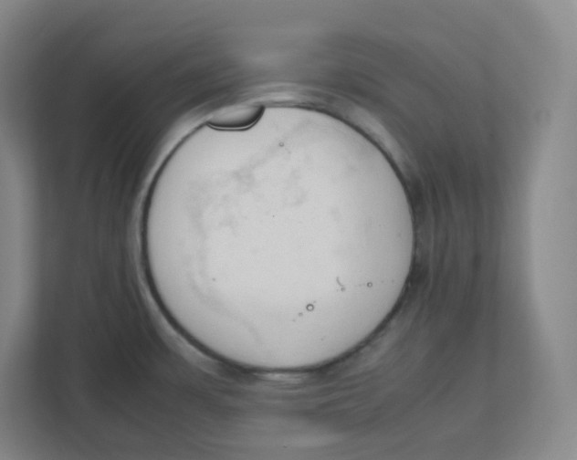 X0000111951483200908171307