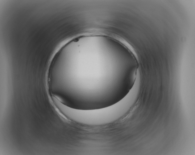 X0000111951485200908171307