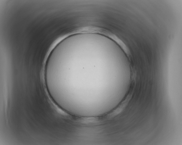 X0000111951486200908171307