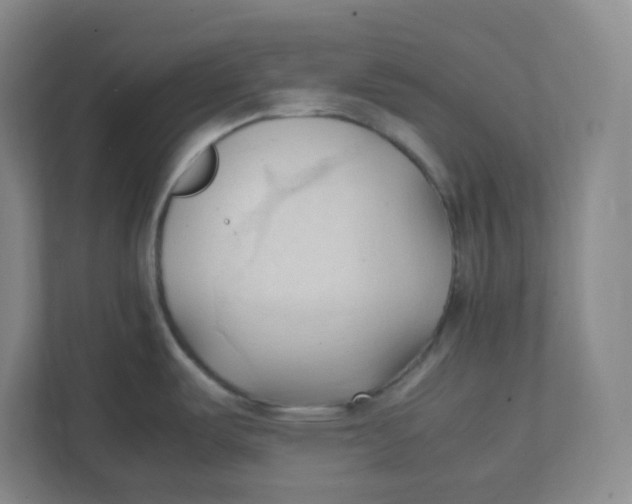 X0000111951487200908171307