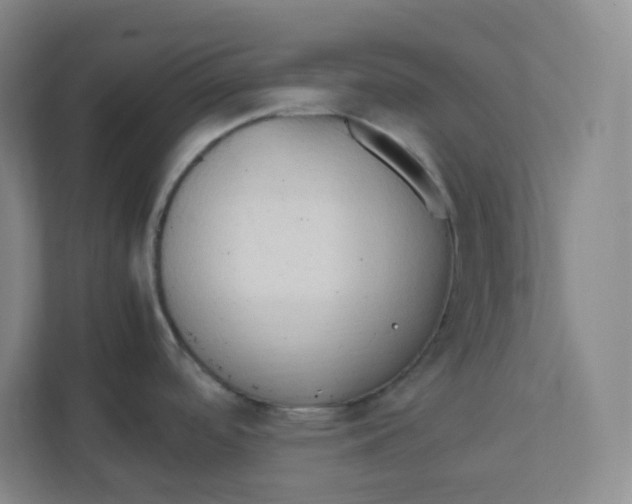 X0000111951488200908171307