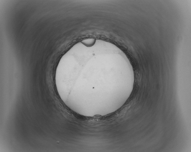 X0000111951489200908171307