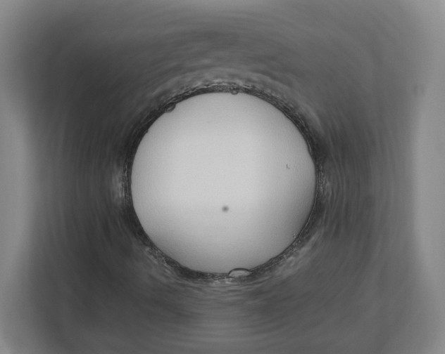 X0000111951490200908171307