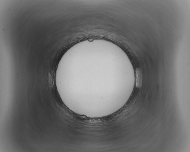 X0000111951491200908171307