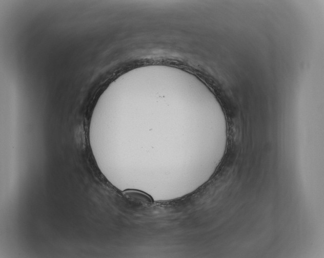 X0000111951493200908171307