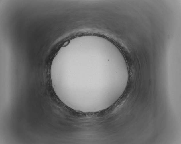 X0000111951494200908171307