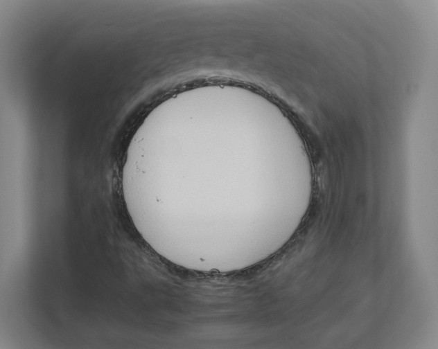 X0000111951495200908171307