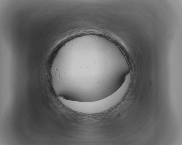 X0000111951496200908171307