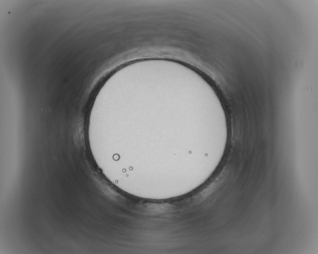 X0000111951498200908171307