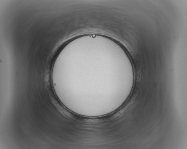 X0000111951499200908171307