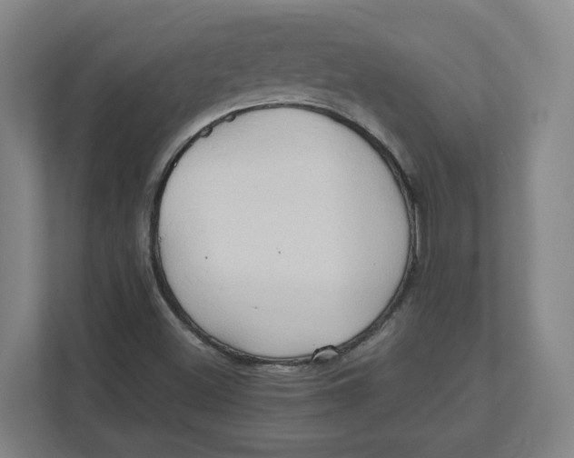 X0000111951500200908171307